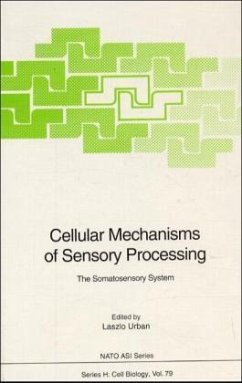 Cellular Mechanisms of Sensory Processing - Urban, Laszlo (Ed.)
