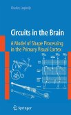 Circuits in the Brain: A Model of Shape Processing in the Primary Visual Cortex