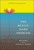 The Really Hard Problem: Meaning in a Material World