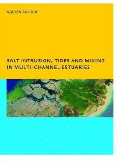 Salt Intrusion, Tides and Mixing in Multi-Channel Estuaries - Nguyen, Anh Duc