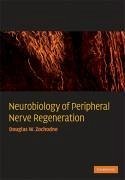 Neurobiology of Peripheral Nerve Regeneration - Zochodne, Douglas W