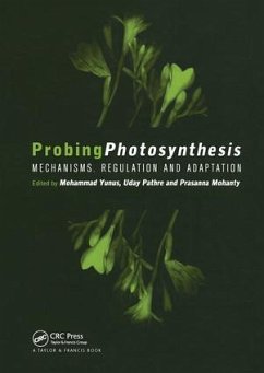 Probing Photosynthesis - Yunus, Mohammad (ed.)