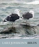 Lars Jonsson's Birds: Paintings from a Near Horizon