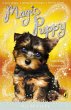 Magic Puppy: Sunshine Shimmers - Bild 1