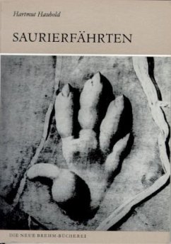 Saurierfährten - Haubold, Hartmut