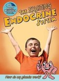 The Exciting Endocrine System: How Do My Glands Work?