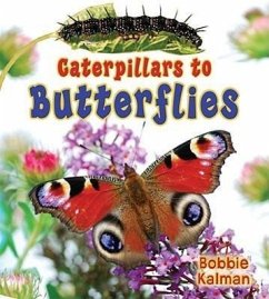 Caterpillars to Butterflies - Kalman, Bobbie