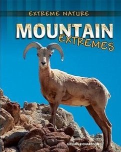 Mountain Extremes - Richardson, Gillian