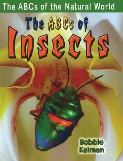 The ABCs of Insects - Bobbie, Kalman