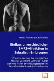 Einfluss unterschiedlicher BMP2-Affinitäten in Zebrafisch-Embryonen