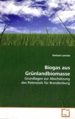 Biogas aus Grünlandbiomasse - Lemcke, Stefanie