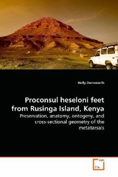 Proconsul heseloni feet from Rusinga Island, Kenya - Dunsworth, Holly