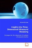 Insights Into Three-Dimensional Ultrasound Mosaicing