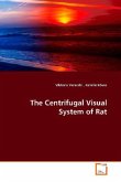 The Centrifugal Visual System of Rat
