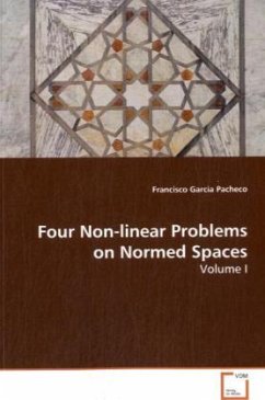 Four Non-linear Problems on Normed Spaces - Garcia Pacheco, Francisco