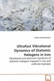 Ultrafast Vibrational Dynamics of Diatomic Halogens in Ices