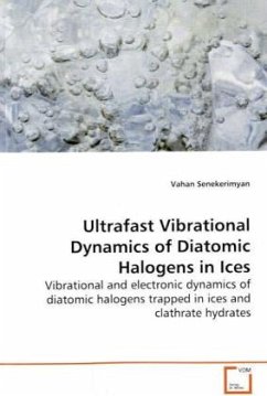 Ultrafast Vibrational Dynamics of Diatomic Halogens in Ices - Senekerimyan, Vahan