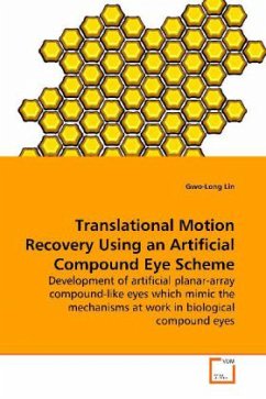 Translational Motion Recovery Using an Artificial Compound Eye Scheme - Lin, Gwo-Long