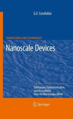 Nanoscale Devices - Cerofolini, Gianfranco
