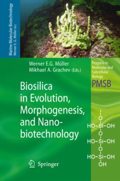 Biosilica in Evolution, Morphogenesis, and Nanobiotechnology - Müller, Werner E.G. / Grachev, Mikhael A (Volume editor)