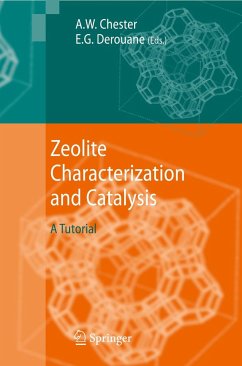 Zeolite Characterization and Catalysis - Chester, Arthur W. / Derouane, Eric G. (Hrsg.)