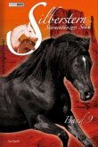 Im Land der wilden Mustangs / Silberstern Bd.9