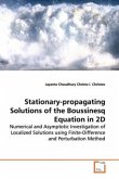 Stationary-propagating Solutions of the Boussinesq Equation in 2D
