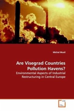 Are Visegrad Countries Pollution Havens? - Musil, Michal