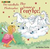 Der rätselhafte Pferdezauber / Hier kommt Ponyfee!, Audio-CDs 13