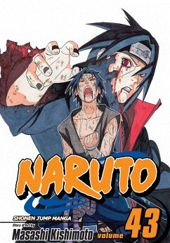 Naruto, Vol. 43 Cover Naruto, Vol. 43