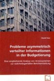 Probleme asymmetrisch verteilter Informationen in der Budgetierung