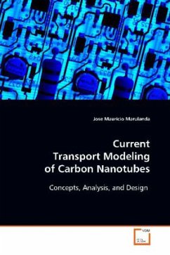 Current Transport Modeling of Carbon Nanotubes - Marulanda, Jose Mauricio