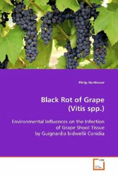 Black Rot of Grape (Vitis spp.) - Northover, Philip