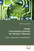 Image Transmission Systems for Wireless Channels