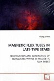 MAGNETIC FLUX TUBES IN LATE-TYPE STARS