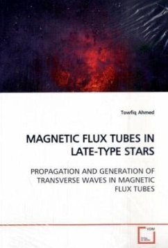 MAGNETIC FLUX TUBES IN LATE-TYPE STARS - Ahmed, Towfiq