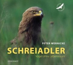 Schreiadler - Wernicke, Peter