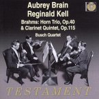 Busch Streichquartett Spielt Brahms