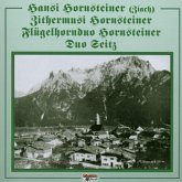 Aus Mittenwald 2