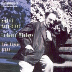 Cover Cathedral Windows/+Symphonie Fis-Moll