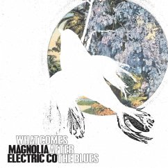 What Comes After The Blues - Magnolia Electric Co.