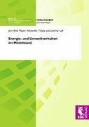 Energie- und Umweltverhalten im Mittelstand - Meyer, Jörn-Axel; Tirpitz, Alexander; Laß, Dietmar