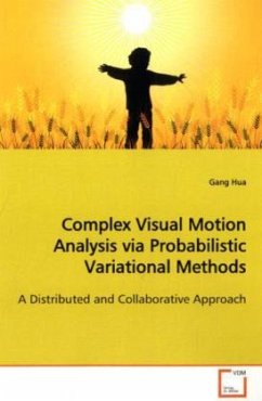 Complex Visual Motion Analysis via Probabilistic Variational Methods