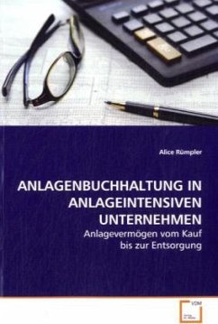 ANLAGENBUCHHALTUNG IN ANLAGEINTENSIVEN UNTERNEHMEN - Rümpler, Alice