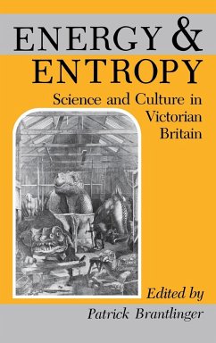 Energy and Entropy: Science and Culture in Victorian Britain