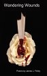 Wandering Wounds - Bild 1