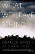 What We Leave Behind - Bild 1