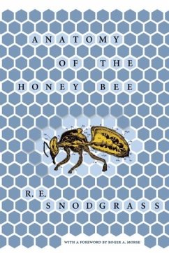 Anatomy of the Honey Bee - Snodgrass, R. E.