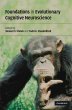 Foundations in Evolutionary Cognitive... - Bild 1