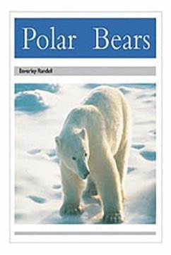 Polar Bears - Rigby